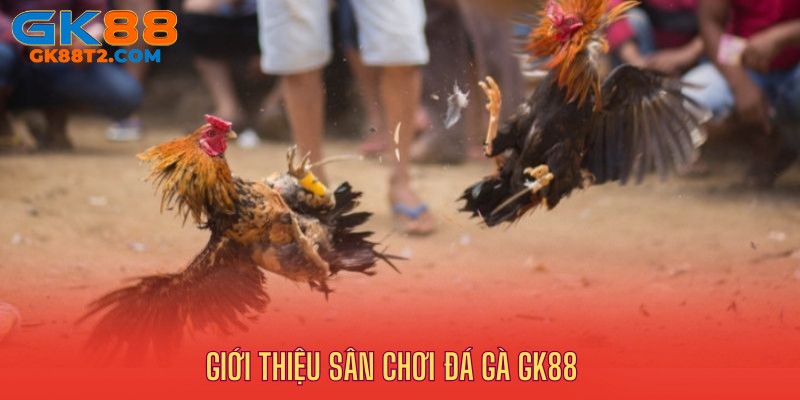 Giới thiệu đá gà GK88